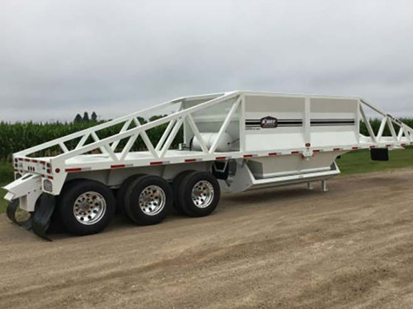 600x450-bellydump 600x450 Bellydump